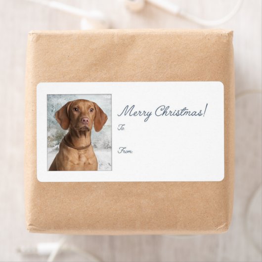 Stickers voor kerstcadeaus Vizsla (Insitu)