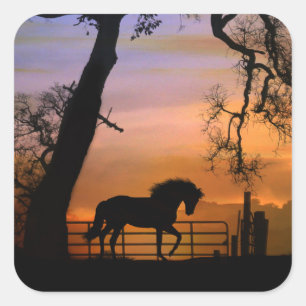Stickers voor landpaarden