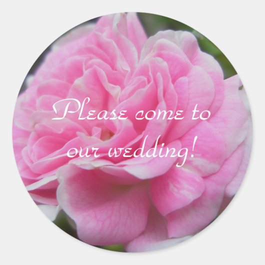 Stickers voor roze weddenschappen (Voorkant)