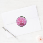 Stickers voor roze weddenschappen (Envelop)