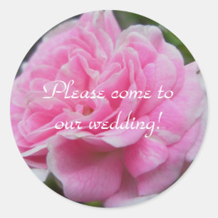 Stickers voor roze weddenschappen