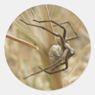 Stickers voor spin- en eiersac