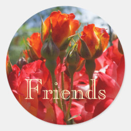 Stickers vrienden zegels RODE Roos Bloemen Kerstmi