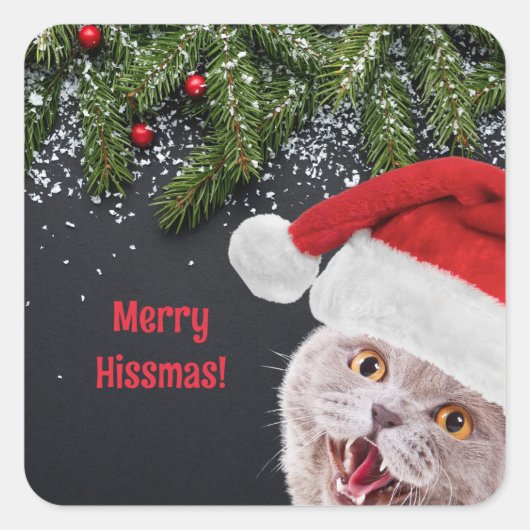 Stickers, vrolijke Hissmas Vierkante Sticker (Voorkant)