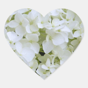 Stickers - Witte hortensia