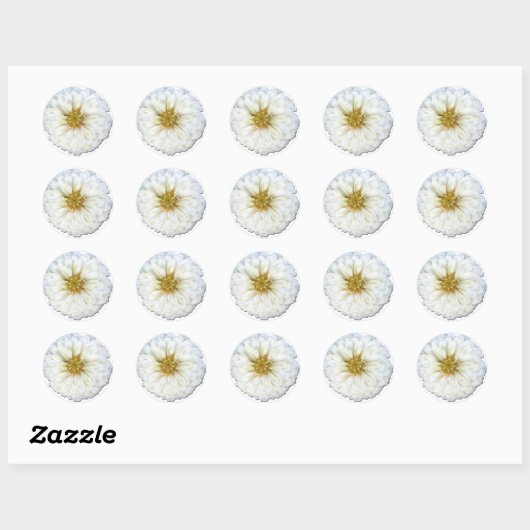 Stickers - Witte Zinnia (Vel)