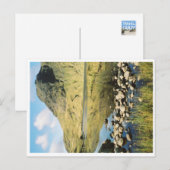 Stickle Tarn zomerreflecties, Lake District. Briefkaart (Voorkant / Achterkant)