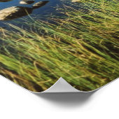 Stickle Tarn zomerreflecties, Lake District. Poster (Hoek)