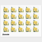 Stickr Yellow Daffodil op Nantucket Vierkante Sticker (Vel)