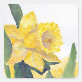 Stickr Yellow Daffodil op Nantucket Vierkante Sticker