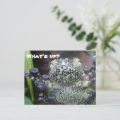 Sticky Frog Just Gezegde Hallo Briefkaart (Staand voorkant)