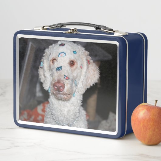 Sticky poodle (In situ)