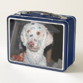 Sticky poodle (Achterkant)