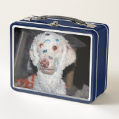 Sticky poodle (Voorkant)