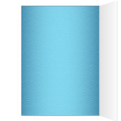 Sticky Rice Dumpling op Dragon Boat Festival (Binnen (Links))