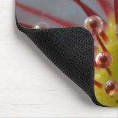 Sticky Sundew tentacles mousepad Muismat (Hoek)