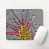 Sticky Sundew tentacles mousepad Muismat (Met muis)