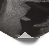 Stieglitz Georgia O’Keeffe Hands Paardenschedel Fo Poster (Hoek)