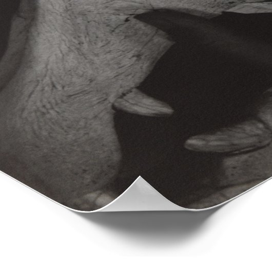 Stieglitz Georgia O’Keeffe Hands Paardenschedel Fo Poster (Hoek)