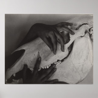 Stieglitz Georgia O’Keeffe Hands Paardenschedel Fo Poster