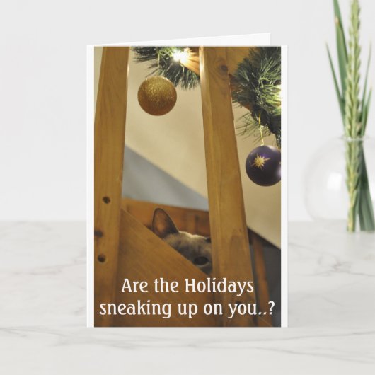 Stiekeme Siamese Feestdagen Kaart (Voorkant)