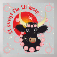 Stier 21 april eind 20 mei Placat