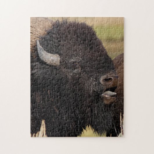 stier bison gruning legpuzzel (Verticaal)
