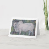 STIER BRAHMA KAART (Voorkant)