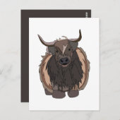 stier briefkaart (Voorkant / Achterkant)