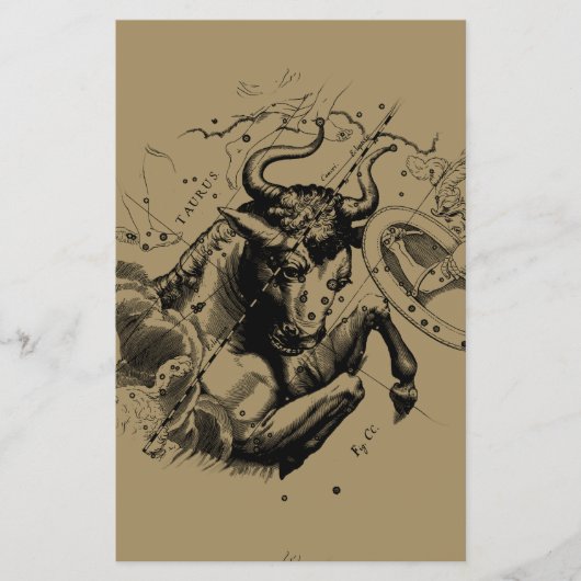 Stier Constellatie Hevelius 1690 Gravure Flyer (Voorkant)