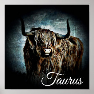 Stier De Stier Dierenriem Symbool Astrologie Poste Poster