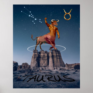 STIER DE STIER POSTER