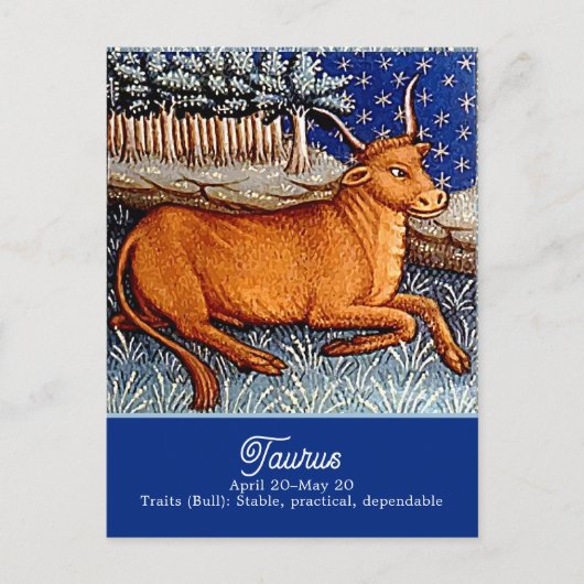 Stier de stier sterrenbeeld Verjaardagsfeest Briefkaart (Voorkant)