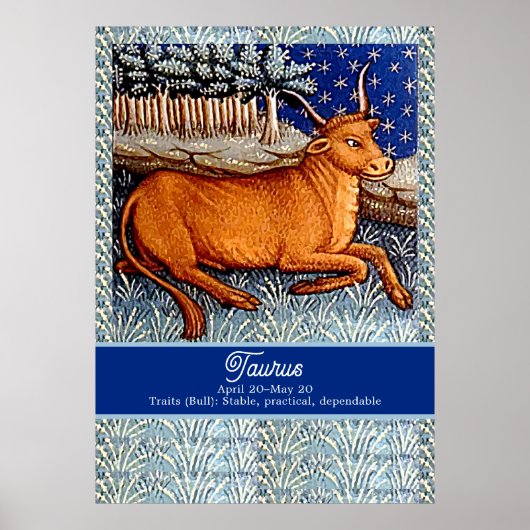 Stier de stier sterrenbeeld Verjaardagsfeest Poster (Voorkant)