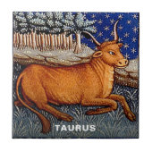 Stier de stier sterrenbeeld Verjaardagsfeest Tegeltje (Voorkant)