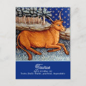 Stier de Stier Sterrenbeeld Verjaardagsfeestje Briefkaart (Voorkant)