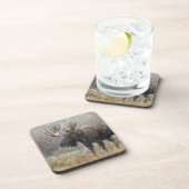 Stier eland in sneeuwstorm met espenbomen bier onderzetter (Rechterzijde)