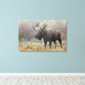 Stier eland in sneeuwstorm met espenbomen canvas afdruk (Insitu (Houten vloer))