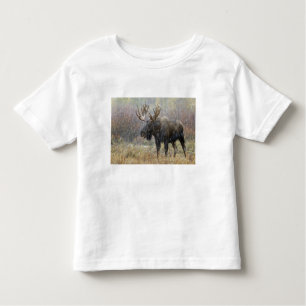 Stier eland in sneeuwstorm met espenbomen kinder shirts