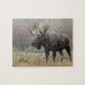Stier eland in sneeuwstorm met espenbomen legpuzzel (Horizontaal)