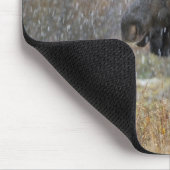 Stier eland in sneeuwstorm met espenbomen muismat (Hoek)