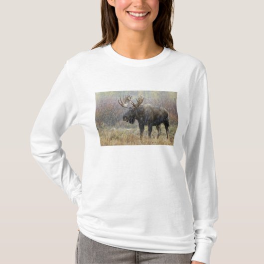 Stier eland in sneeuwstorm met espenbomen t-shirt (Voorkant)