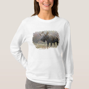 Stier eland in sneeuwstorm met espenbomen t-shirt