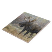 Stier eland in sneeuwstorm met espenbomen tegeltje (Zijkant)