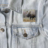 Stier eland in sneeuwstorm met espenbomen vierkante button 5,1 cm (In situ)