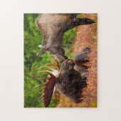 Stier en Koe Eland Alaska. Legpuzzel (Verticaal)