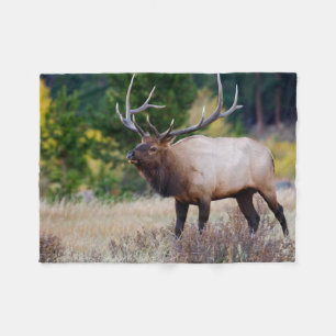 Stier & Espenbomen   Rocky Mountain National Park Fleece Deken
