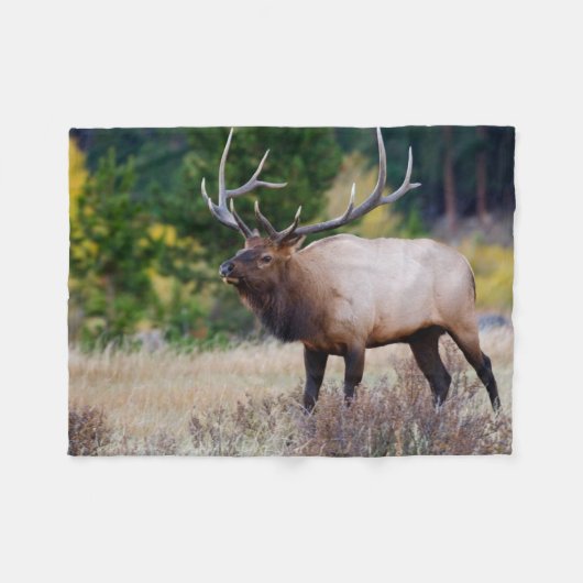 Stier & Espenbomen | Rocky Mountain National Park Fleece Deken (Voorkant (Horizontaal))