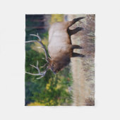Stier & Espenbomen | Rocky Mountain National Park Fleece Deken (Voorkant)