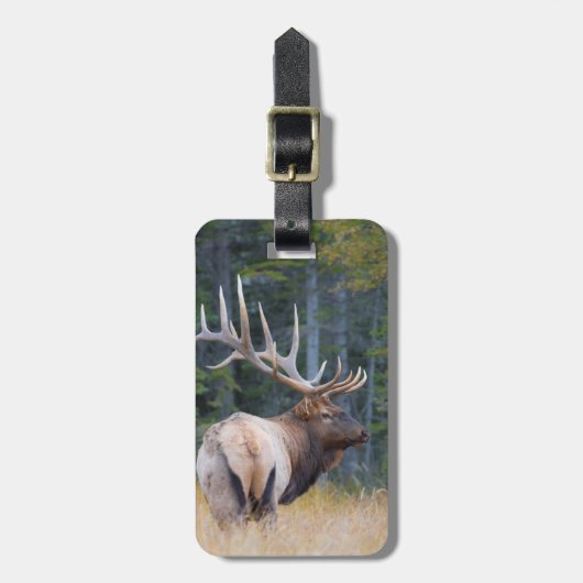 Stier Rocky Mountain Elk Bagagelabel (Voorkant verticaal)